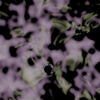 interitus: 437