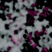 interitus: 456