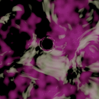 interitus: 431